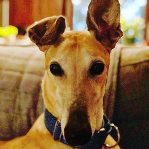 Meet your Posher, Katherine